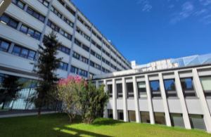Institute of American Studies and Polish Diaspora